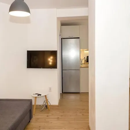 Modern Bright Close To Center And Grand Mall Apartment *